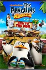 Watch Penguins of Madagascar New to the Zoo Megavideo