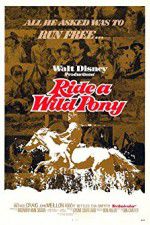 Watch Ride a Wild Pony Megavideo