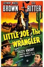 Watch Little Joe, the Wrangler Megavideo