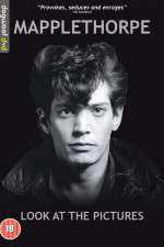 Watch Mapplethorpe: Look at the Pictures Megavideo