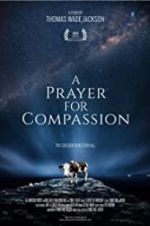 Watch A Prayer for Compassion Megavideo