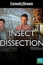 Watch Insect Dissection: How Insects Work Megavideo