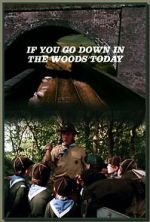 Watch If You Go Down in the Woods Today Megavideo