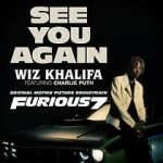 Watch Wiz Khalifa Ft. Charlie Puth: See You Again Megavideo