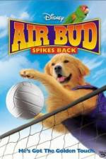 Watch Air Bud Spikes Back Megavideo