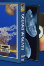 Watch NATURE: Oceans in Glass Megavideo