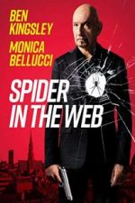 Watch Spider in the Web Megavideo