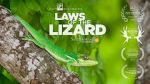 Watch Laws of the Lizard Megavideo