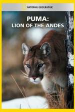 Watch National Geographic Puma: Lion of the Andes Megavideo