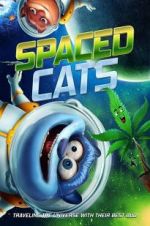 Watch Spaced Cats Megavideo