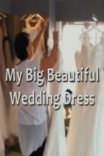 Watch My Big Beautiful Wedding Dress Megavideo