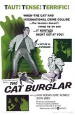 Watch The Cat Burglar Megavideo