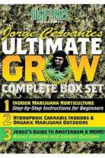 Watch Jorge Cervantes Ultimate Grow Complete Box Set Megavideo