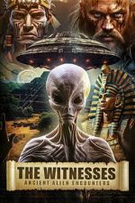 Watch The Witnesses: Ancient Alien Encounters Megavideo
