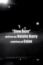 Watch Slow Burn Megavideo