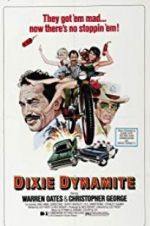 Watch Dixie Dynamite Megavideo