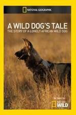 Watch A Wild Dogs Tale Megavideo