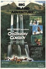 Watch The Castaway Cowboy Megavideo