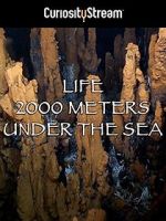 Watch Life 2,000 Meters Under the Sea Megavideo