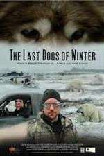 Watch The Last Dogs of Winter Megavideo