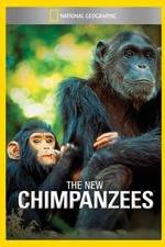 Watch The New Chimpanzees Megavideo
