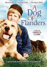 Watch A Dog of Flanders Megavideo