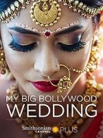 Watch My Big Bollywood Wedding Megavideo