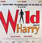 Watch Wild About Harry Megavideo