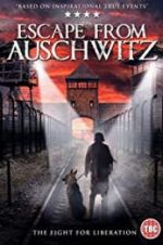 Watch The Escape from Auschwitz Megavideo