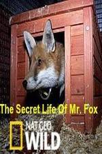 Watch The Secret Life of Mr. Fox Megavideo