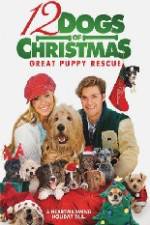Watch 12 Dogs of Christmas Great Puppy Rescue Megavideo