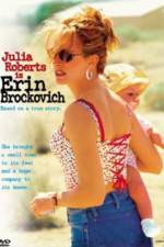 Watch Erin Brockovich Megavideo