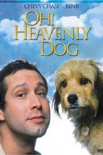 Watch Oh Heavenly Dog Megavideo