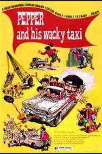 Watch Wacky Taxi Megavideo