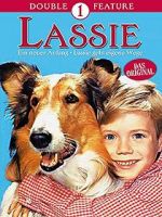 Watch Lassie: A New Beginning Megavideo