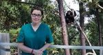 Watch Sue Perkins and the Chimp Sanctuary Megavideo