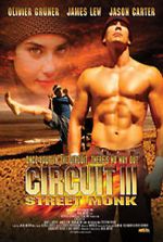 Watch The Circuit III: Final Flight Megavideo