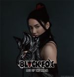 Watch Black Fox: Age of the Ninja Megavideo