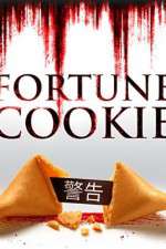 Watch Fortune Cookie Megavideo
