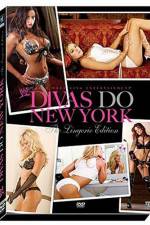 Watch WWE Divas Do New York Megavideo