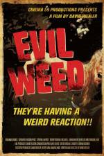Watch Evil Weed Megavideo