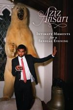 Watch Aziz Ansari: Intimate Moments for a Sensual Evening Megavideo