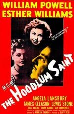 Watch The Hoodlum Saint Megavideo