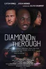 Watch Diamond in the Rough Megavideo