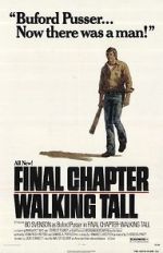 Watch Final Chapter: Walking Tall Megavideo