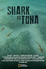 Watch Shark vs Tuna Megavideo