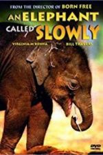 Watch An Elephant Called Slowly Megavideo