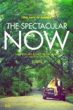 Watch The Spectacular Now Megavideo