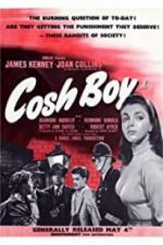 Watch Cosh Boy Megavideo