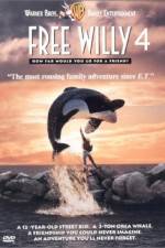 Watch Free Willy Escape from Pirate's Cove Megavideo